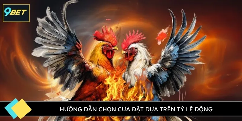 Hướng dẫn chọn cửa đặt dựa trên tỷ lệ động