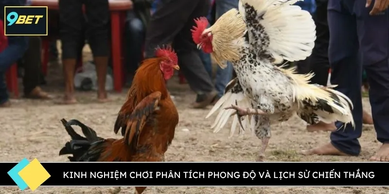 Kinh nghiệm chơi phân tích phong độ và lịch sử chiến thắng